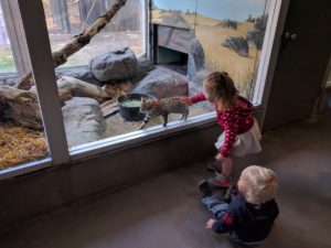 img_20161020_134045